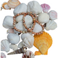 CLEA BRACELET